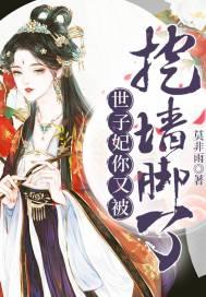世子妃你又被挖墙脚了 莫非雨动漫