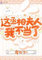 丞相夫人您太
