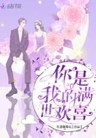 你是我满天欢喜