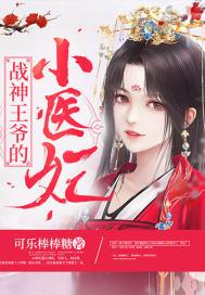 战神王爷的小医妃全文阅读