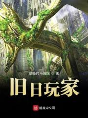 旧日玩家txt