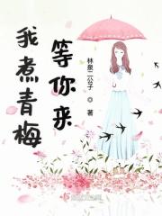 青梅煮酒是什么歌的歌词