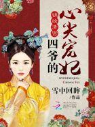 四爷的心尖宠妃多少字