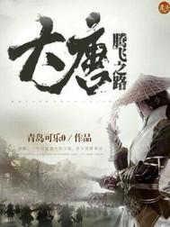 大唐腾飞之路TXT