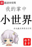 我的掌中小世界百度百科
