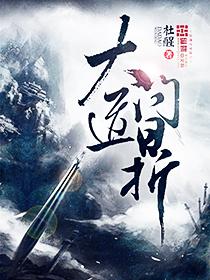 问鼎武道之巅