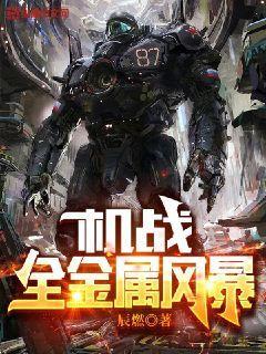 机战全金属风暴by辰燃