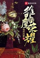 雏鹰的荣耀扫书