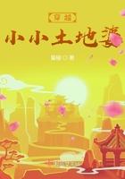 穿越小小土地婆TXT
