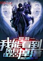 我能看到所有BOSS掉落阅读