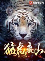 猛虎离山准确生肖