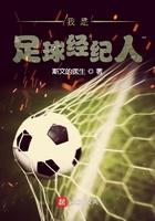 足球经纪人