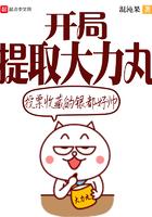 开局卖大力丸的名称
