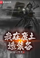 我在废土有机械装备栏