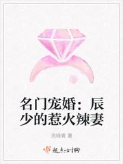 辰少的霸道专宠 强婚88次