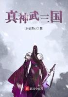 真神武三国大结局是什么