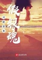 可能是本假银魂笔趣阁