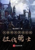从霍格沃茨开始的征伐骑士