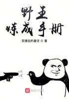 野王炼成手册无弹窗