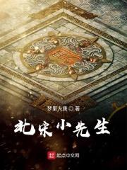 北宋小厨师新笔趣阁