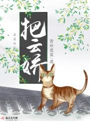 把云娇人物书评