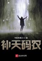 补天码农txt