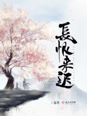 长恨来迟大概内容