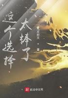 这个选择太棒了txt