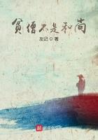 贫僧不是断袖