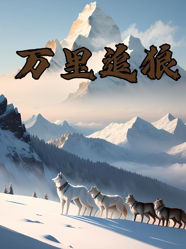 继续播放万里追