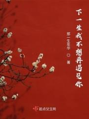 下一辈子我不一定遇见你