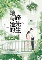 他与她的陆先生