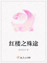 红楼之禛情