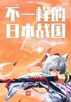 不一样的日本战国结局是什么