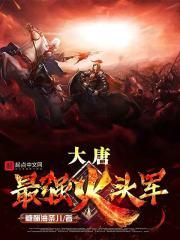 大唐最强军火系统