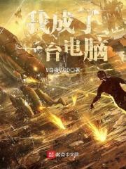 我是一台电脑作文600字