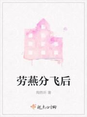 劳燕分飞还能重逢吗
