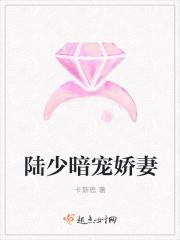 陆少宠妻又甜又暖