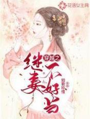 穿越之继妻不好当晋江