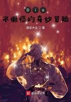 dio不懒惰的奇妙冒险