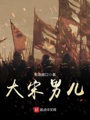 大宋男儿笔趣阁