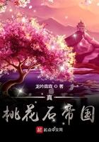 真桃花石帝国类型推荐