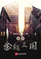 我的金钱王国 爱笑的大飞机