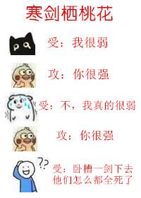 寒剑栖桃花 西子绪