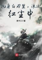 浪迹红尘中章节目录
