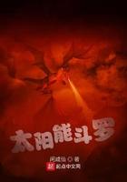 太阳能 羊