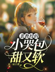 裴教授的小哭包甜又软 作者宋一沁