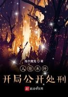 人在木叶开局爆出木遁免费阅读