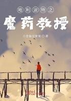 哈利波特之魔药教授在线阅读免费