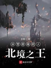 冰雪奇缘特别篇 北极之光 在线观看